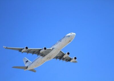 Improved Vegetation Management at Denver International Airport